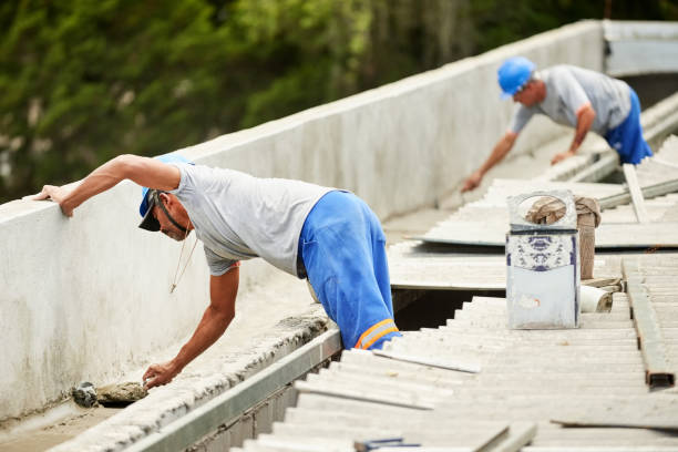 Best Professional Insulation Contractor  in Clearwater, FL