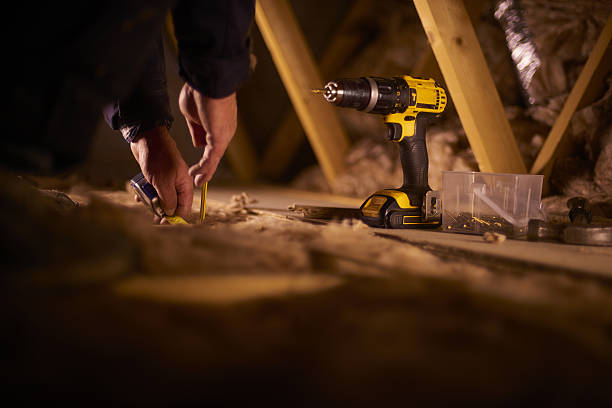 Best Insulation Removal  in Clearwater, FL